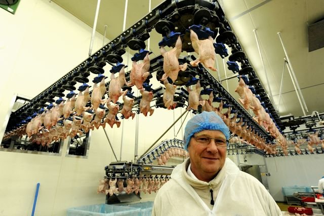 Germany - chicken road spielen
